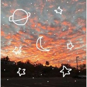 Meet your Posher, Elise